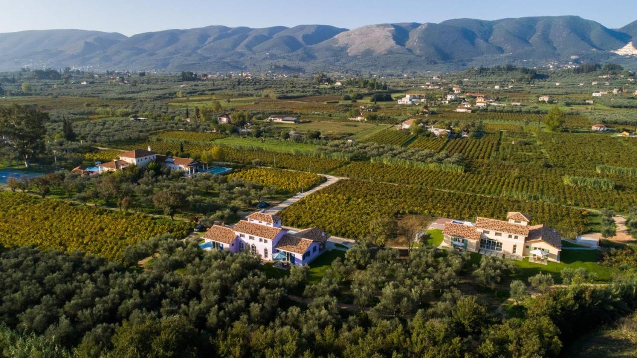 Áyios Kírikos Aneli Luxury Villas - Villa Semeli מראה חיצוני תמונה